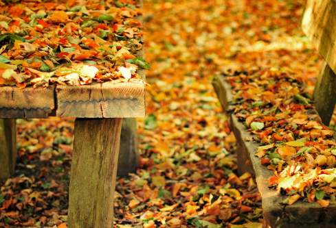 1692885273700772.png image.png