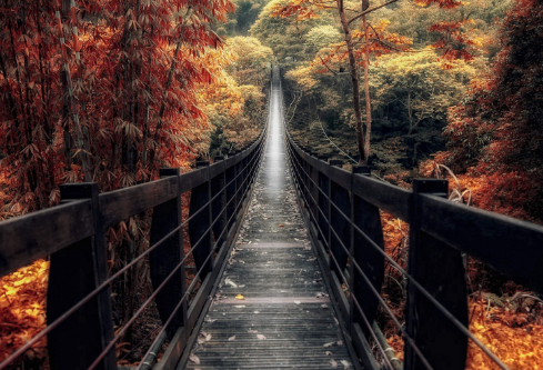 1692885771238912.png image.png