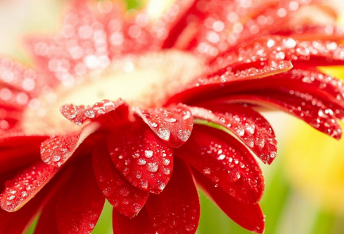 1692885937402777.png image.png