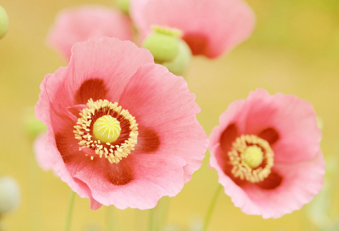 1692886601647628.png image.png