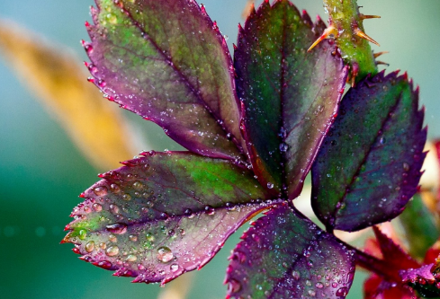 1692887431127098.png image.png