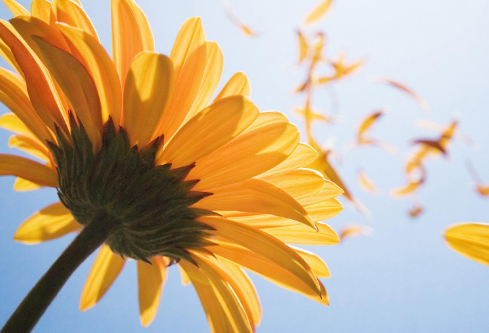 1692887597127244.png image.png