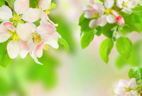 1692888593110428.png image.png