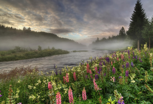 1692889091611997.png image.png