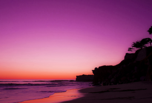 1692889422111129.png image.png