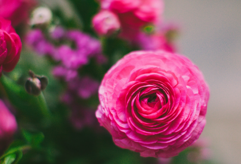 1692891580128910.png image.png