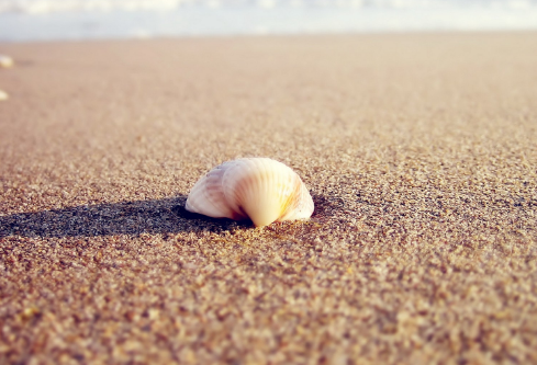 1692891912161627.png image.png