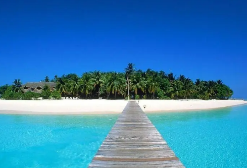 1692892411595387.png image.png