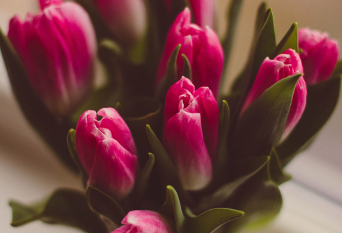 1692892577815968.png image.png