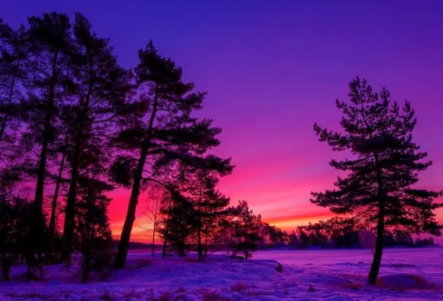 1692892743778789.png image.png