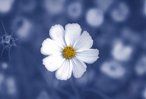 1692894403474253.png image.png