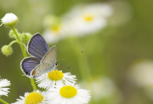 1692894569627833.png image.png