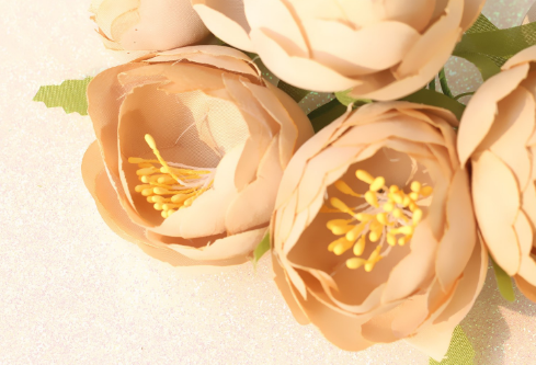 1692895067103013.png image.png