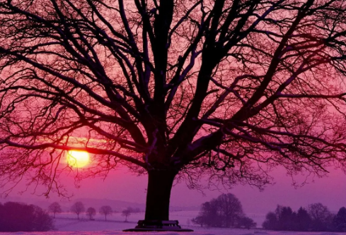 1692896561100612.png image.png