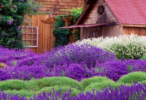 1692896727609157.png image.png