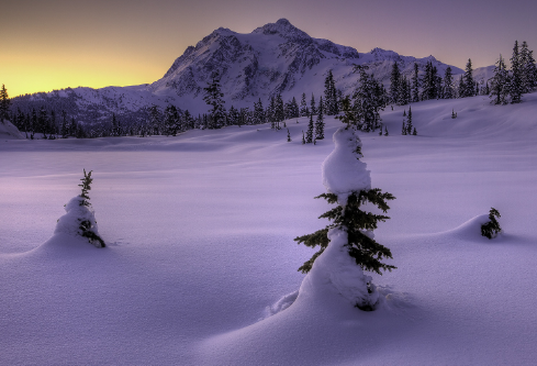 1692896892873286.png image.png