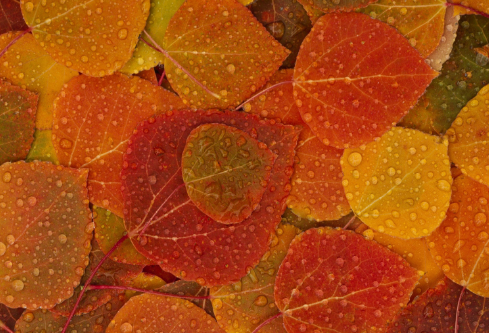 1692897059730550.png image.png