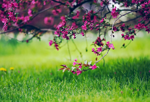 1692897225364048.png image.png