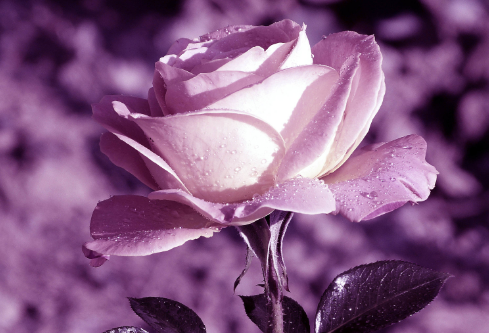 1692897391126995.png image.png