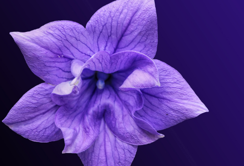 1692897889115755.png image.png