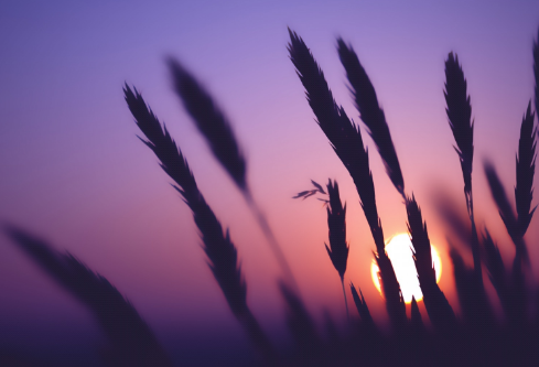 1692898553701159.png image.png