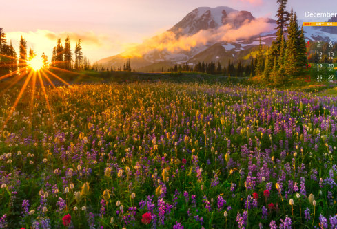 1692899217139577.png image.png