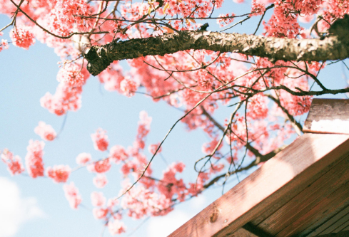 1692899715128746.png image.png