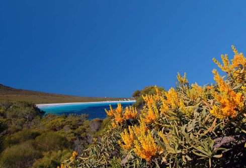 1692899881971227.png image.png