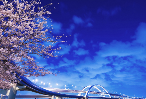 1692900876877245.png image.png