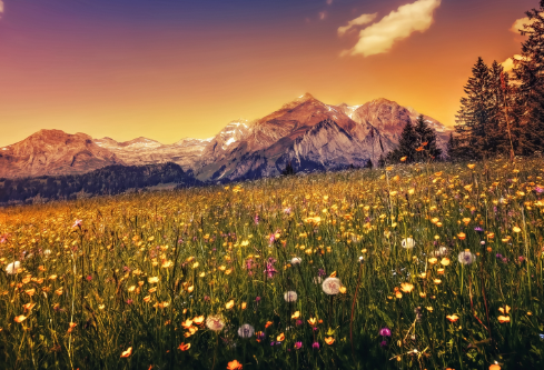 1692902039530280.png image.png