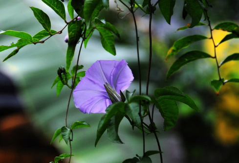 1692902361773238.png image.png