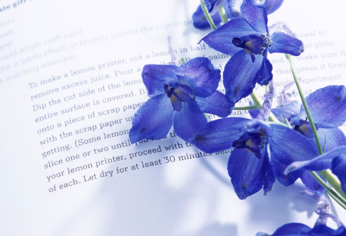 1692902527371106.png image.png