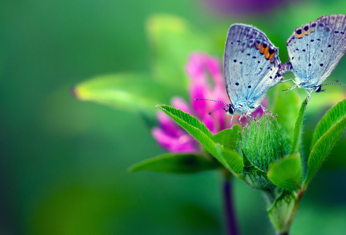 1692902693488023.png image.png