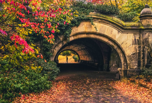 1692903357917953.png image.png