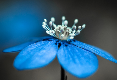 1692904186235555.png image.png