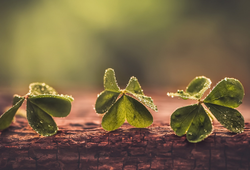 1692904352139801.png image.png