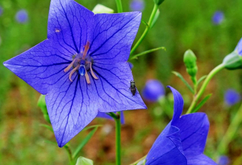 1692904684549128.png image.png