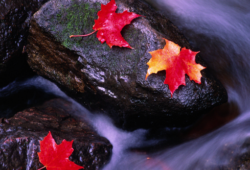 1692905016134818.png image.png