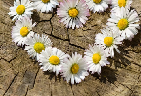 1692905348540737.png image.png