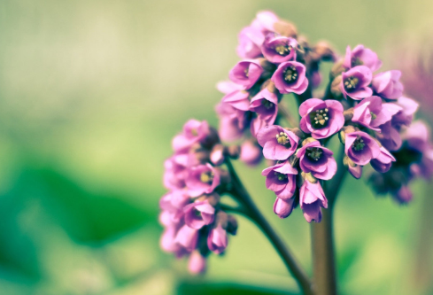 1692906177124447.png image.png