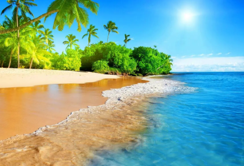 1692906343641001.png image.png