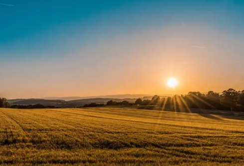 1692906509501406.png image.png