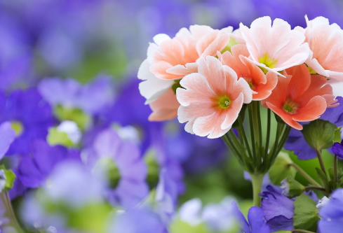 1692906841937662.png image.png