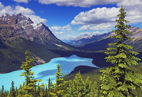 1692907503937275.png image.png