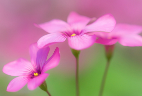 1692908167119817.png image.png