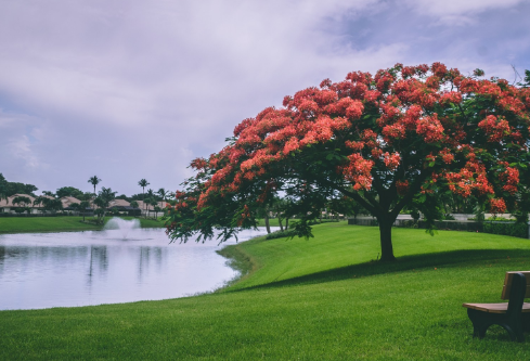 1692908665117042.png image.png