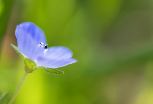 1692909830536477.png image.png