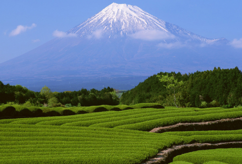 1692909996927722.png image.png