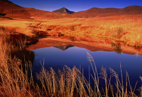 1692910162791354.png image.png