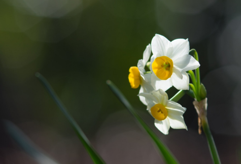 1692910328865240.png image.png